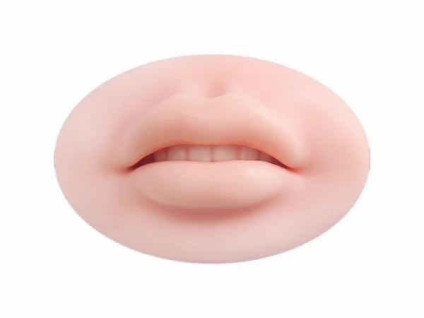 Realistic Silicone Mouth Models