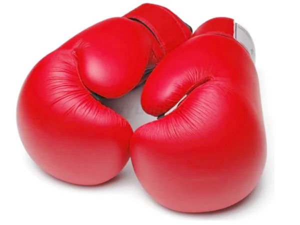 Boxing Glove Foam Liners